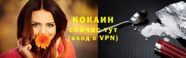 стафф Балахна
