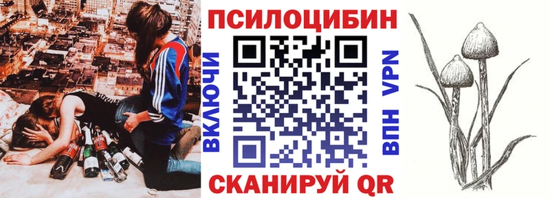 Галлюциногенные грибы мухоморы  цена   Сегежа 